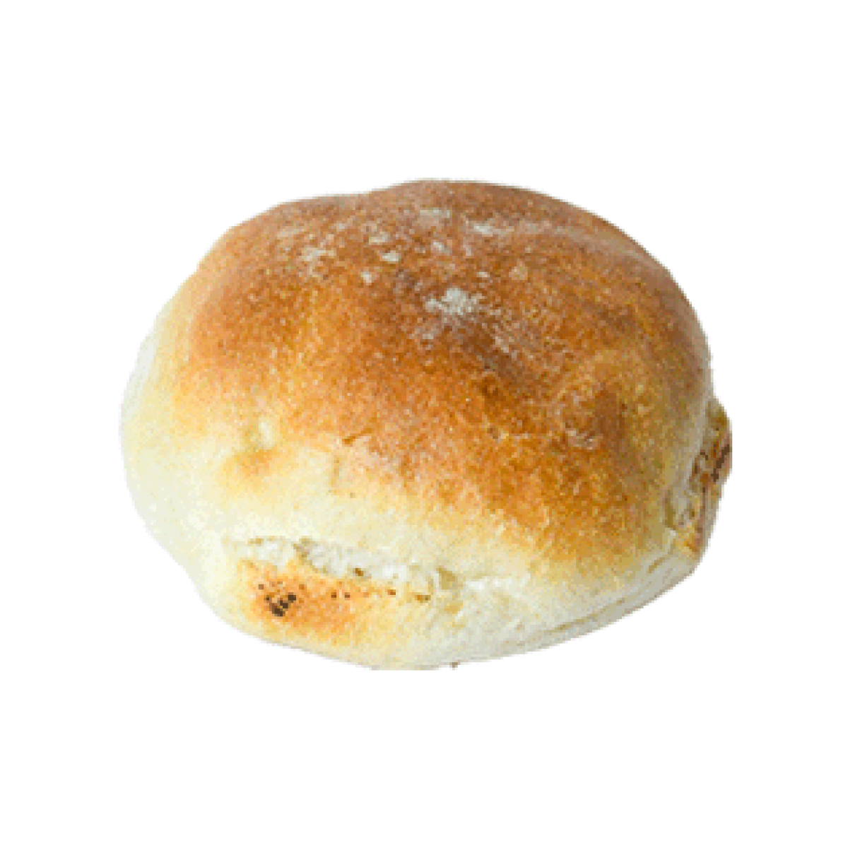 panine